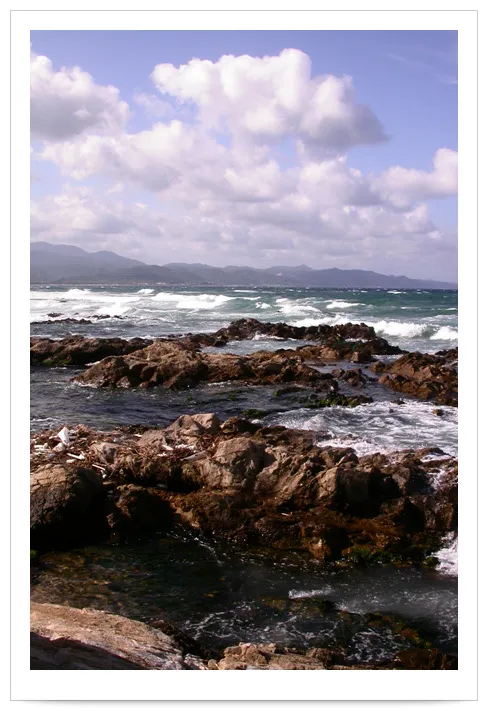 20071208 우연히...1